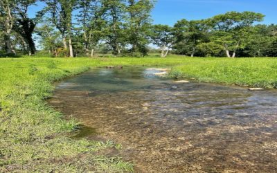 Additional Benefits of a Trout Habitat Project